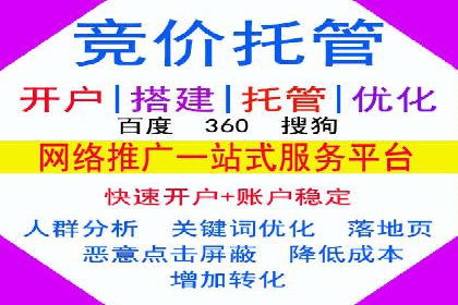 SEM托管公司案例：业绩提升之道